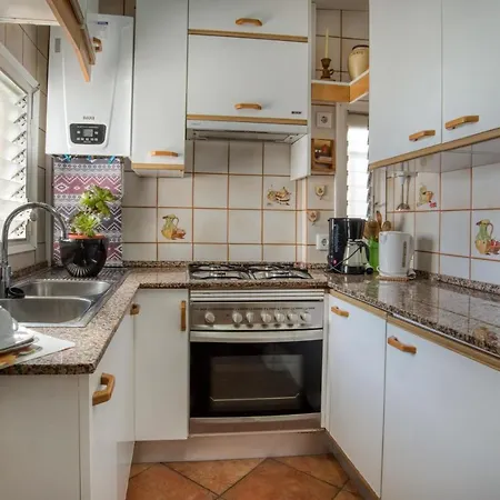 Ingrid Tu Oasis De Luz Y Silencio بلاتجا ذارو