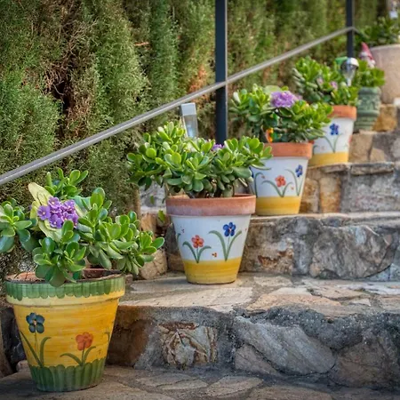 شقة Ingrid Tu Oasis De Luz Y Silencio *