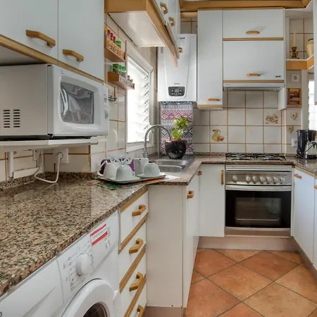 Ingrid Tu Oasis De Luz Y Silencio بلاتجا ذارو