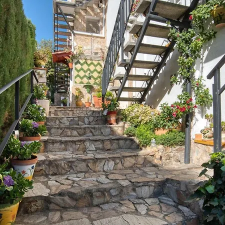 Ingrid Tu Oasis De Luz Y Silencio شقة